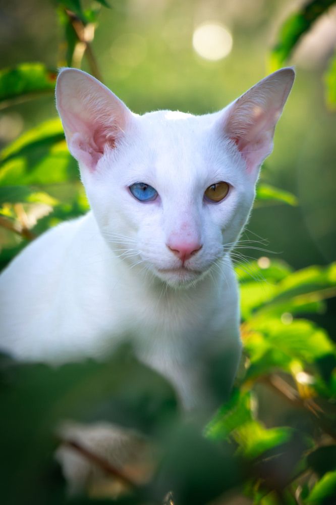 Фотография автора Максим Южик