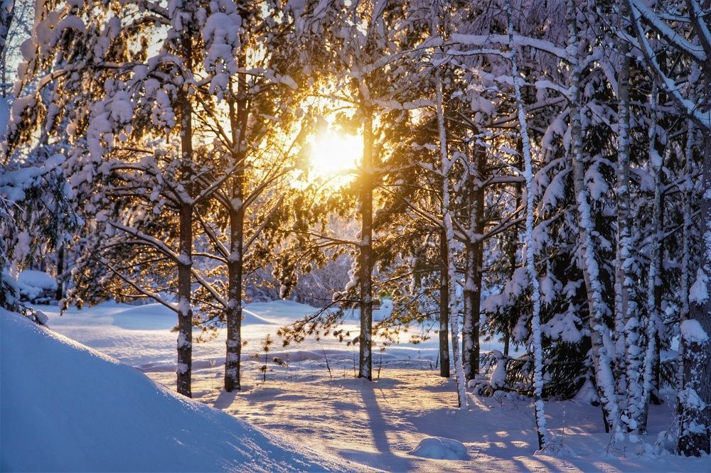 Photograph by Марина Безенкина