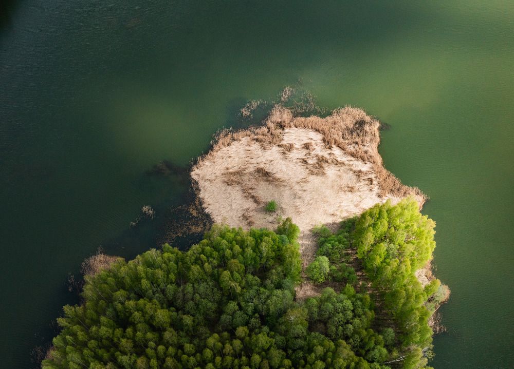 Photograph by Александр Давидик