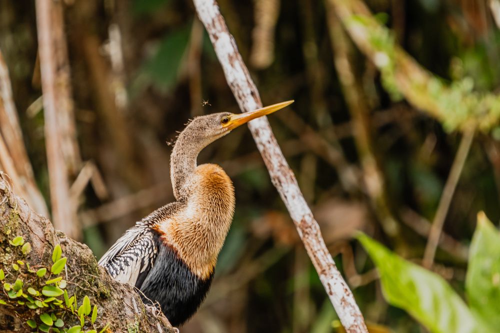 Photograph by Sandra Alvarez