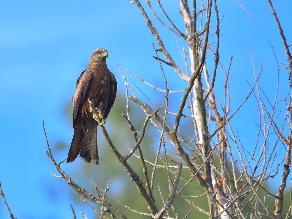 Photograph by Николай Абакумов