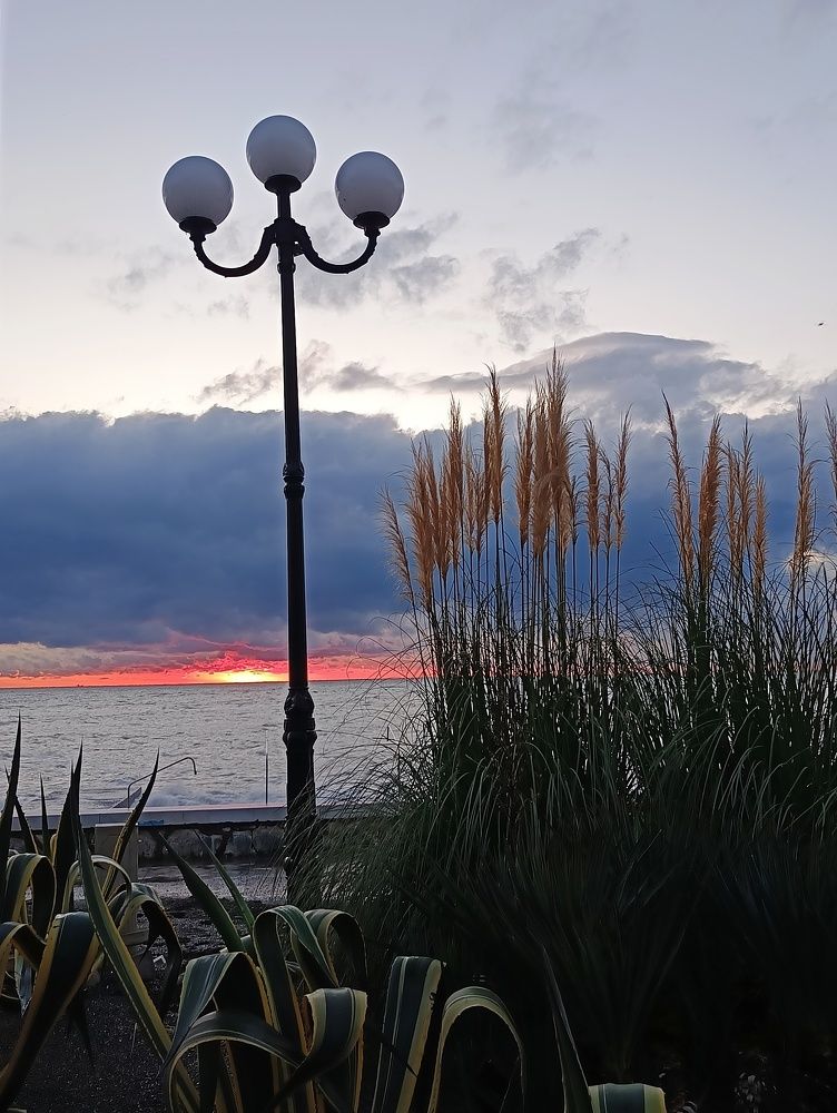 Фотография автора Елена Александрова