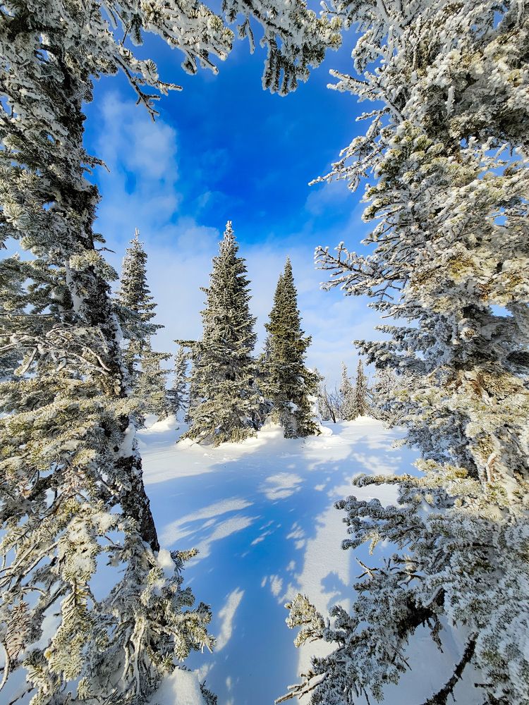 Photograph by Сергей Кесаев