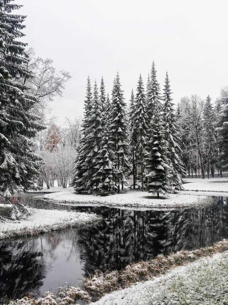 Photograph by Светлана Попова