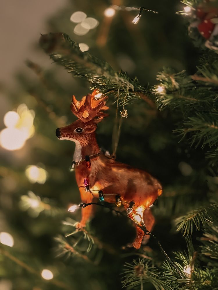 Photograph by Marianna Zakirova