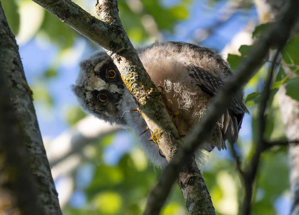 Photograph by Светлана Холодняк