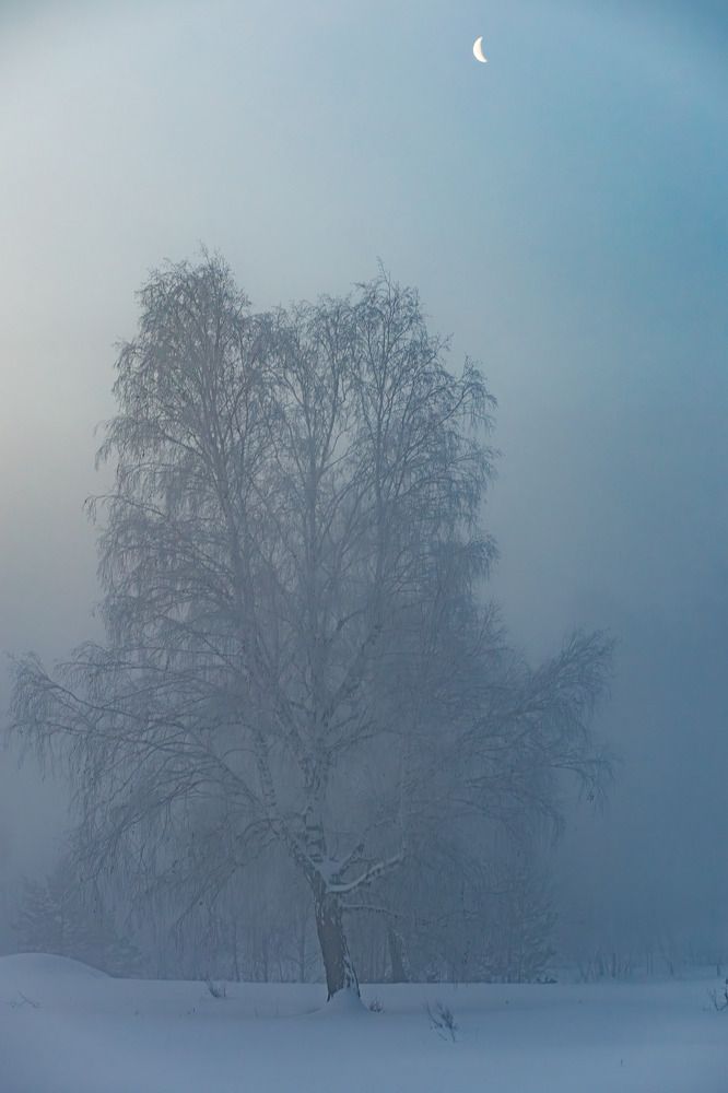 Photograph by Kseniya Yasyuchenya