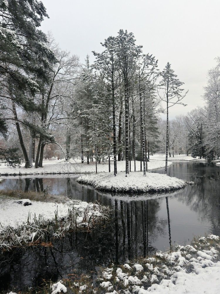 Photograph by Светлана Попова