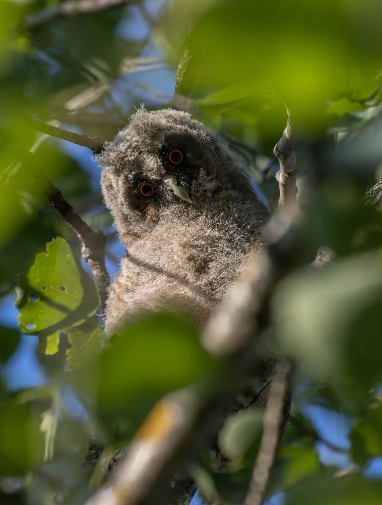 Photograph by Светлана Холодняк