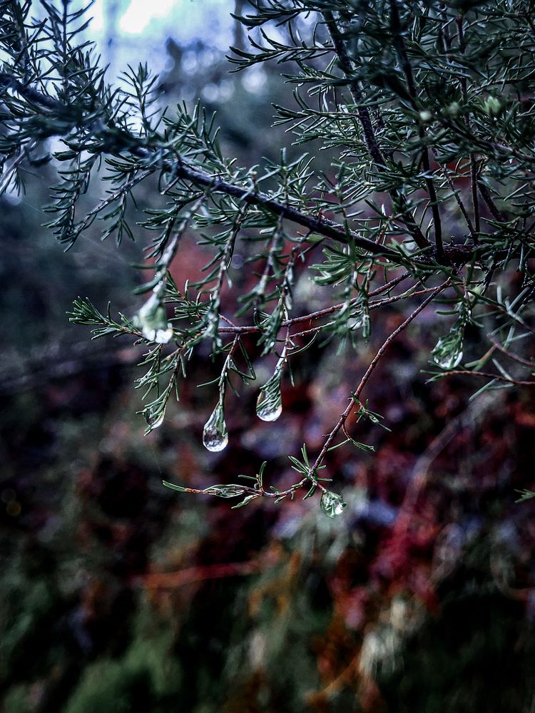 Photograph by Луиза Перегарова