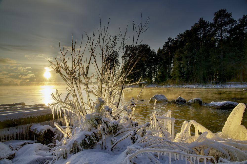 Photograph by Игорь Шишпанов