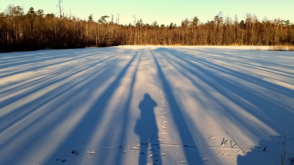 Photo #10078770