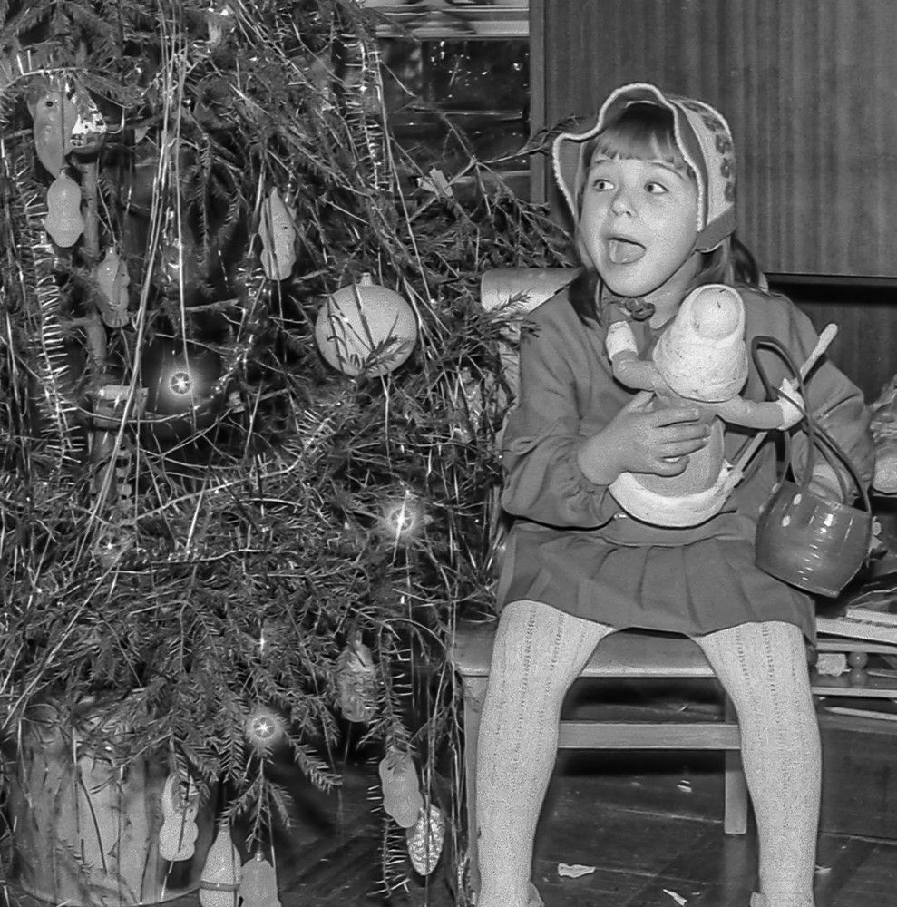 Photograph by Vladimir  Komarov