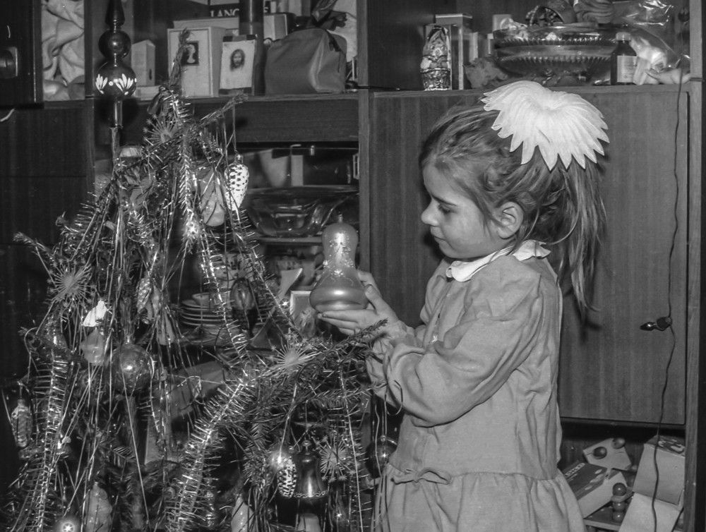 Photograph by Vladimir  Komarov