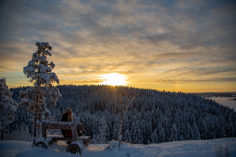 Photograph by Lev Kaufman