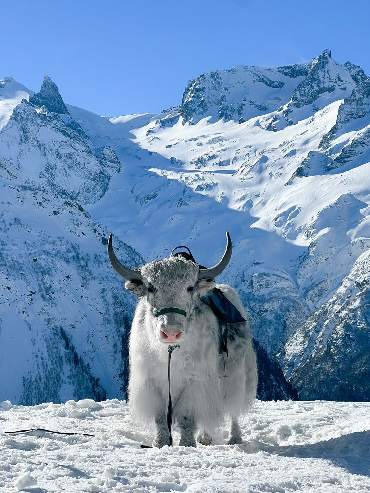 Photograph by Павел