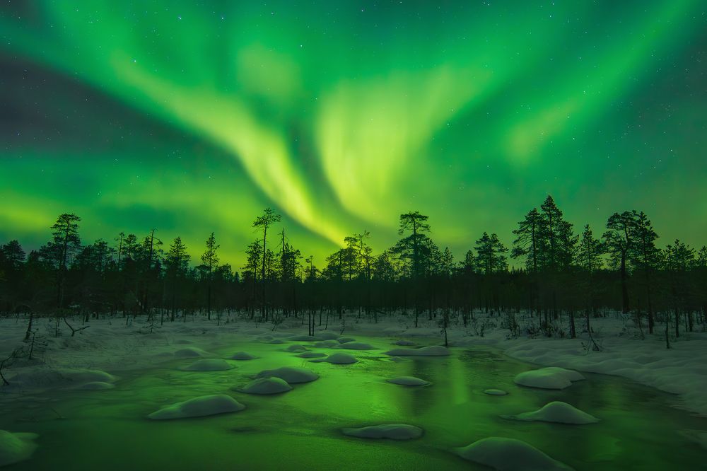 Photograph by Добролюбова Тамара