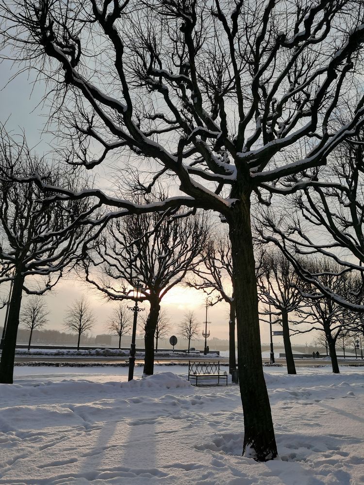 Photo #10078926