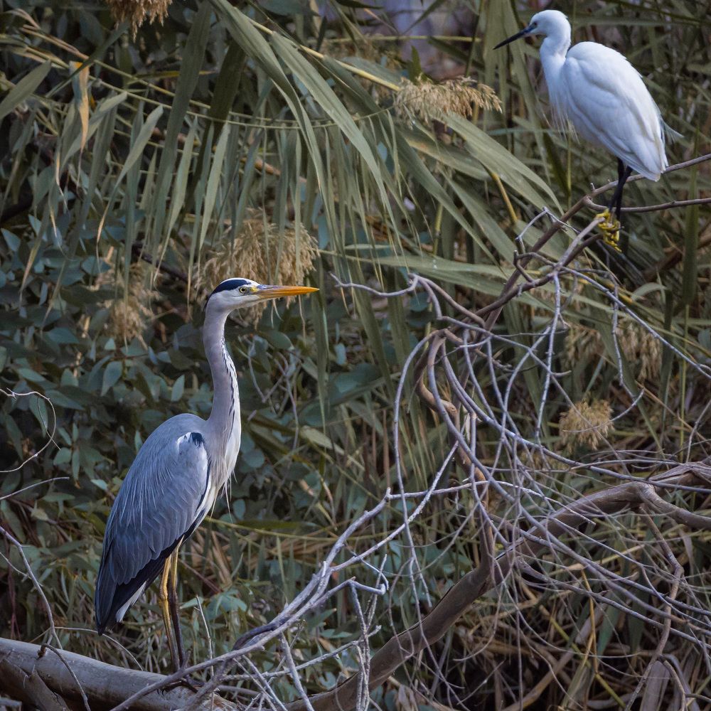 Photograph by Antonis Papaconstantinou