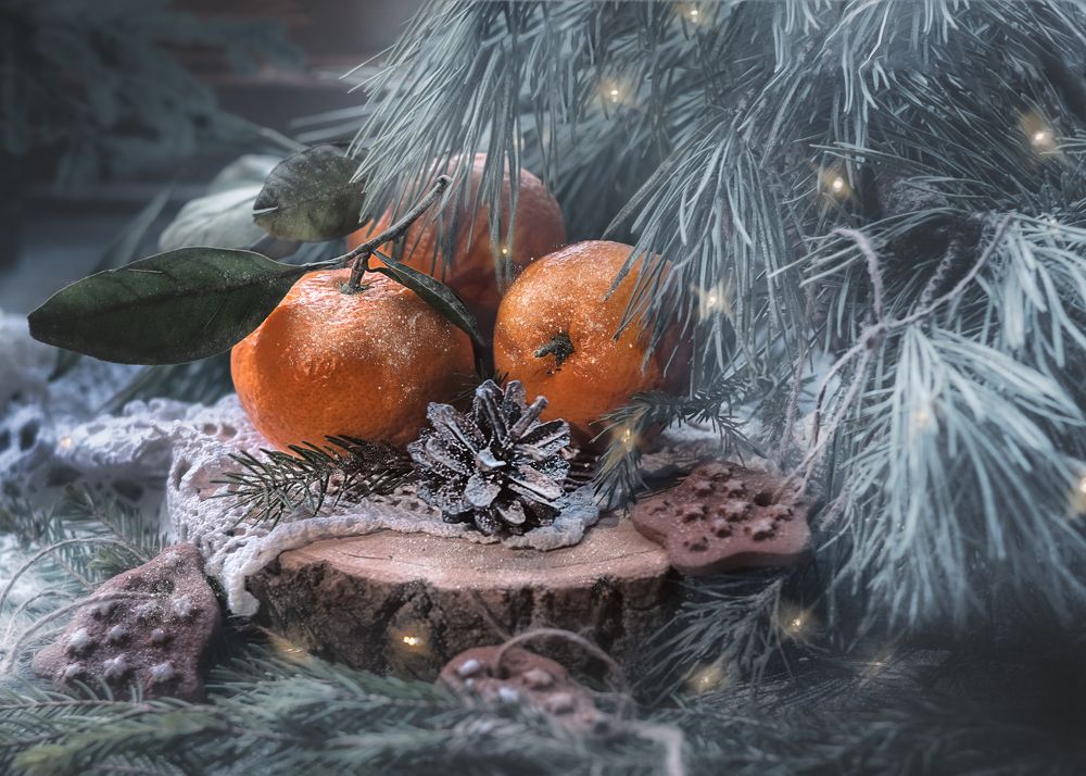 Photograph by Сивенок Елена