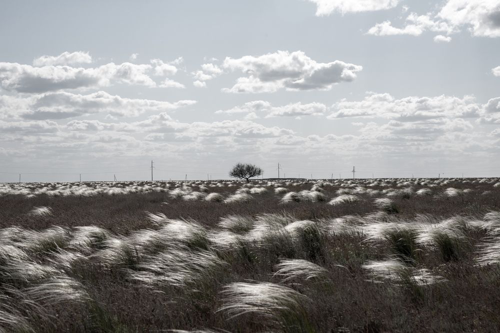 Фотография автора алексей