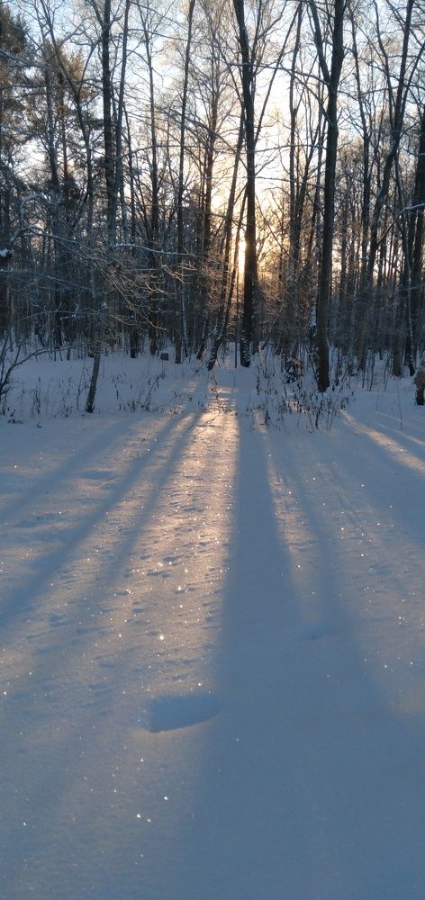 Photograph by Любовь Макарова