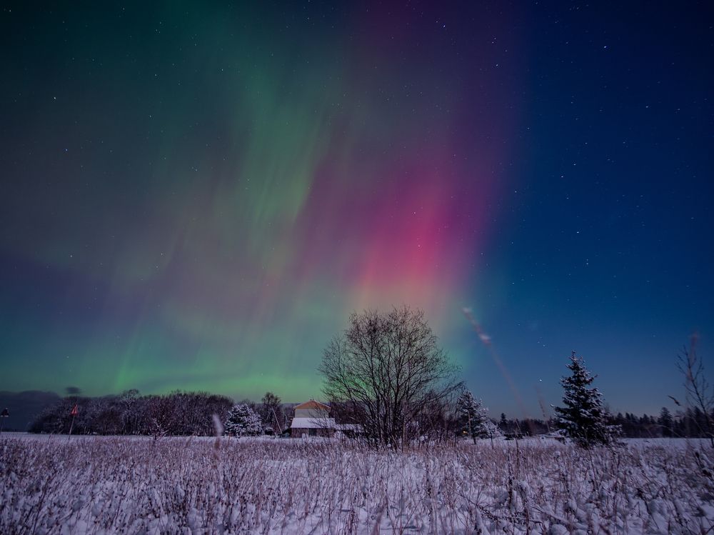 Photograph by Olga Link