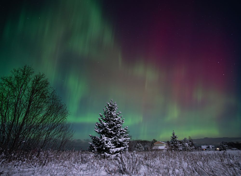 Photograph by Olga Link