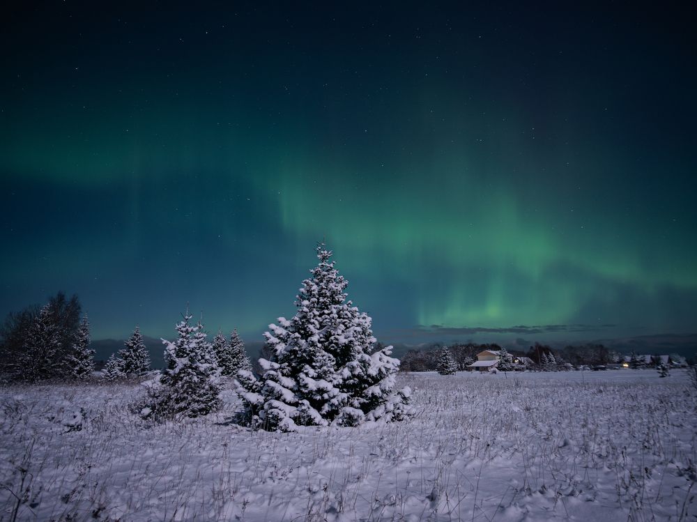 Photograph by Olga Link