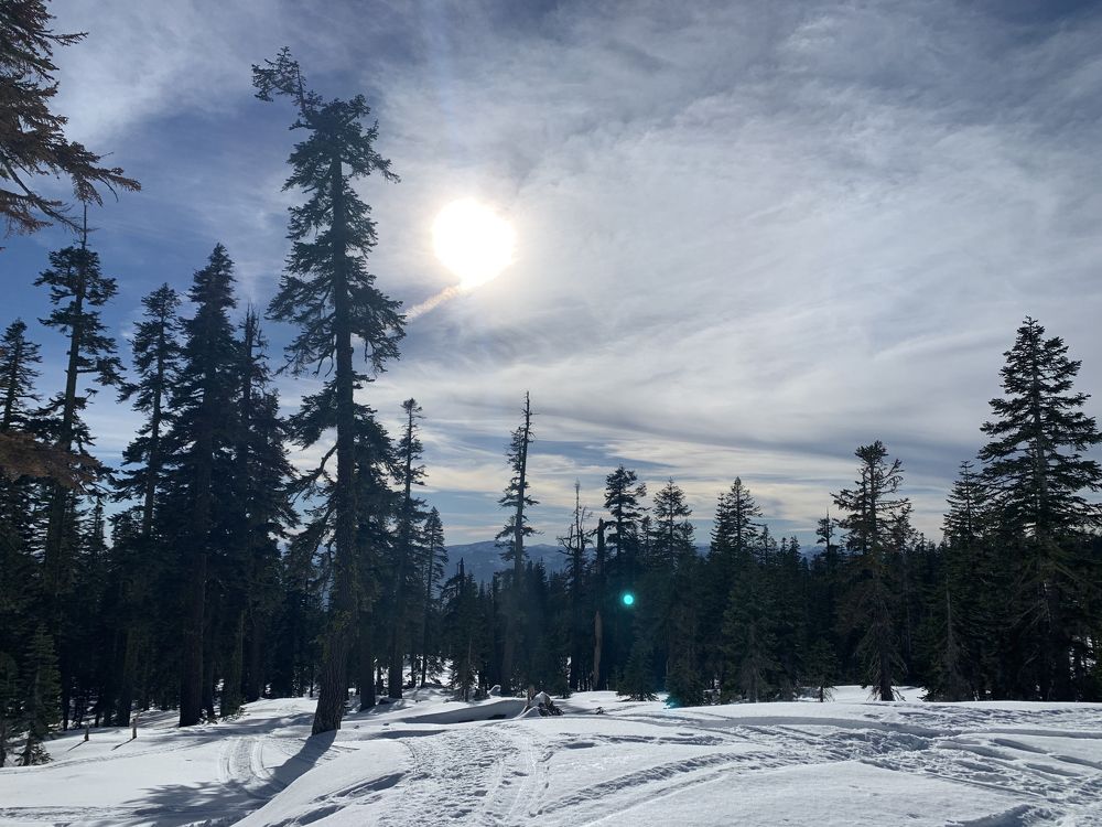 Photograph by Nataliia Diamond