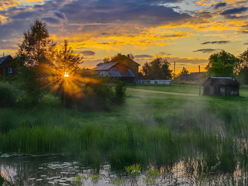 Photograph by Евгений Симион