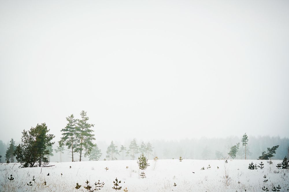 Photograph by Алексей Котлов