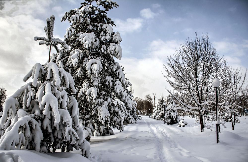 Photograph by Валерий Баранчиков