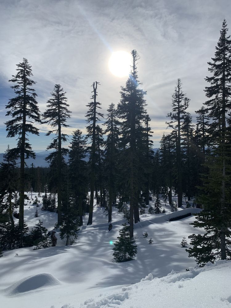 Photograph by Nataliia Diamond