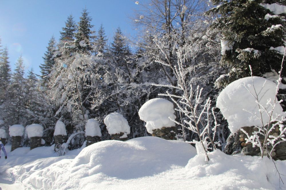 Photograph by Дарья Кирина