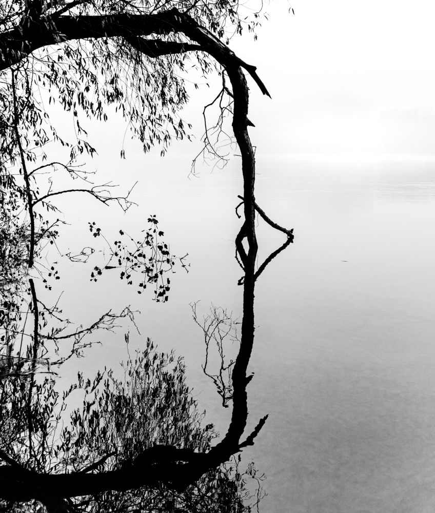 Фотография автора Balázs Török