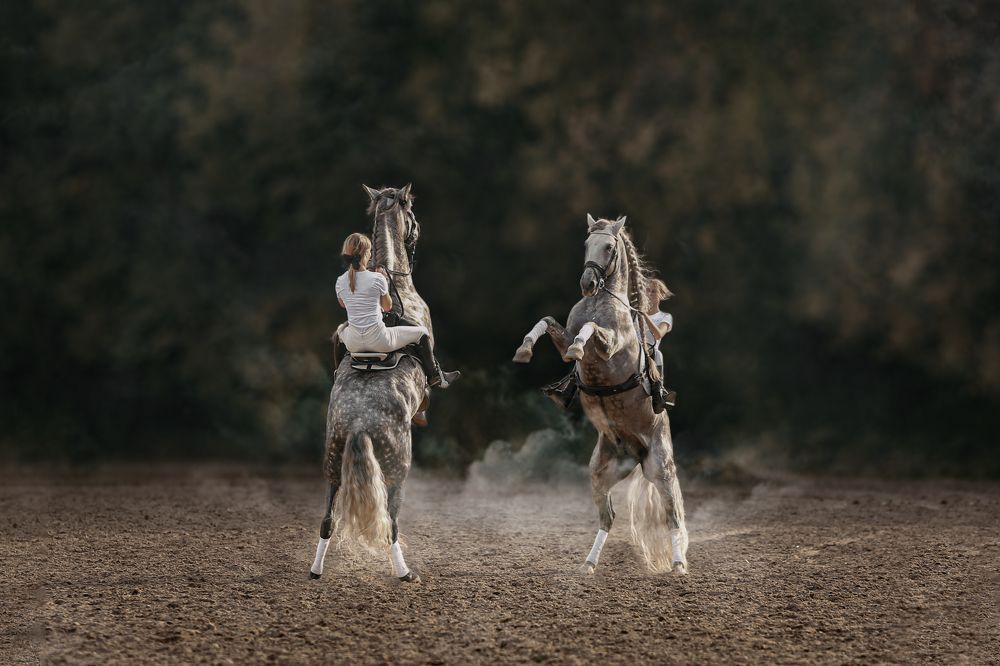 Photograph by Sergey Firsov