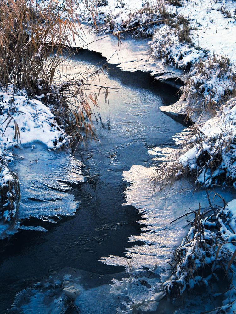 Фотография автора Павел Арсеев