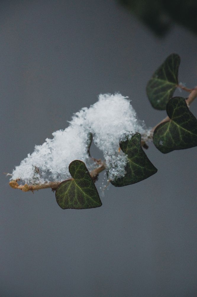 Фотография автора Павел Арсеев