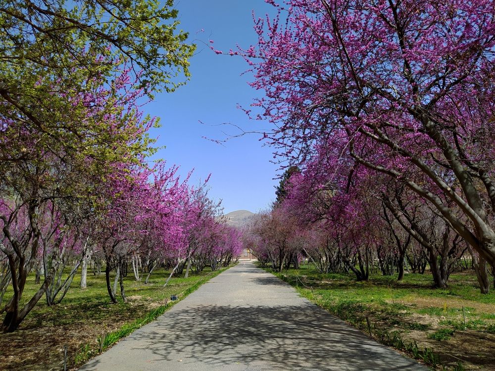 National Park