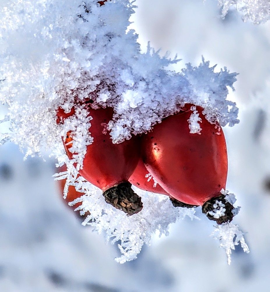 Photograph by Надежда Кудрявцева