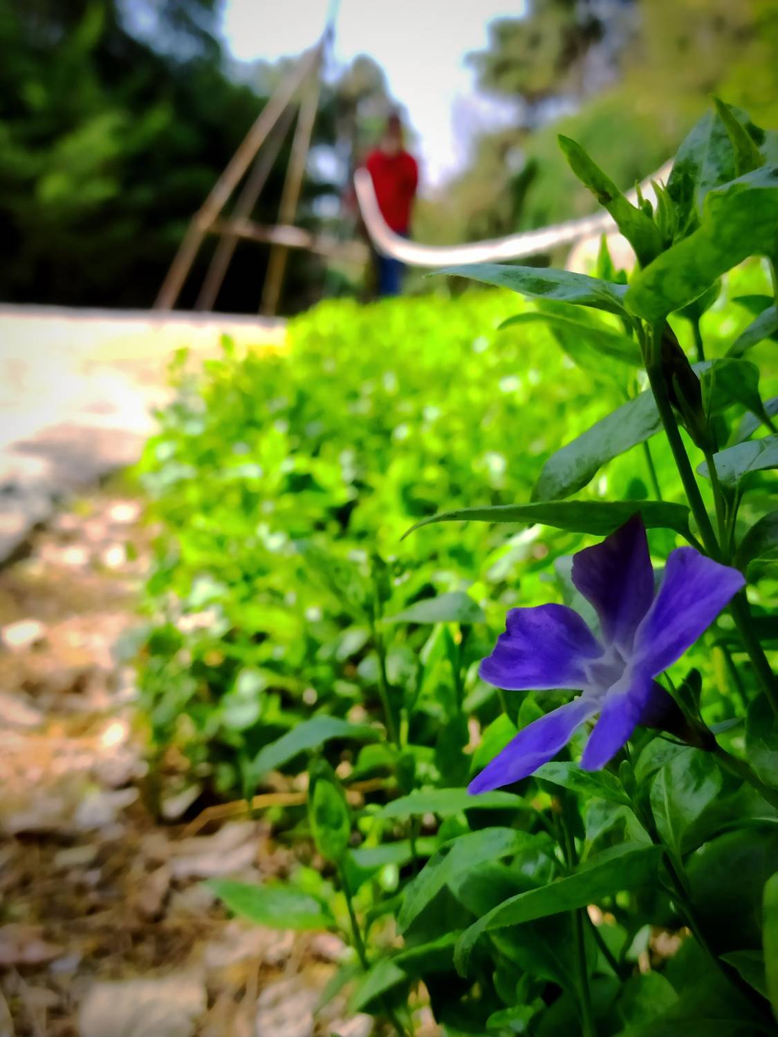 mobilegraphy
