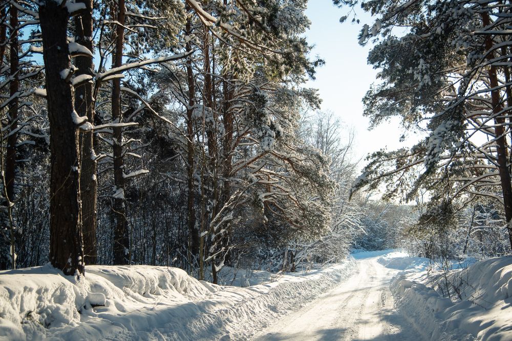 Фотография автора Войнов Дмитрий