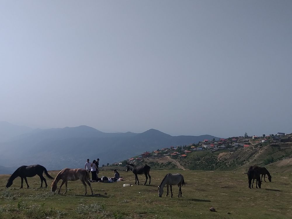 man and horse