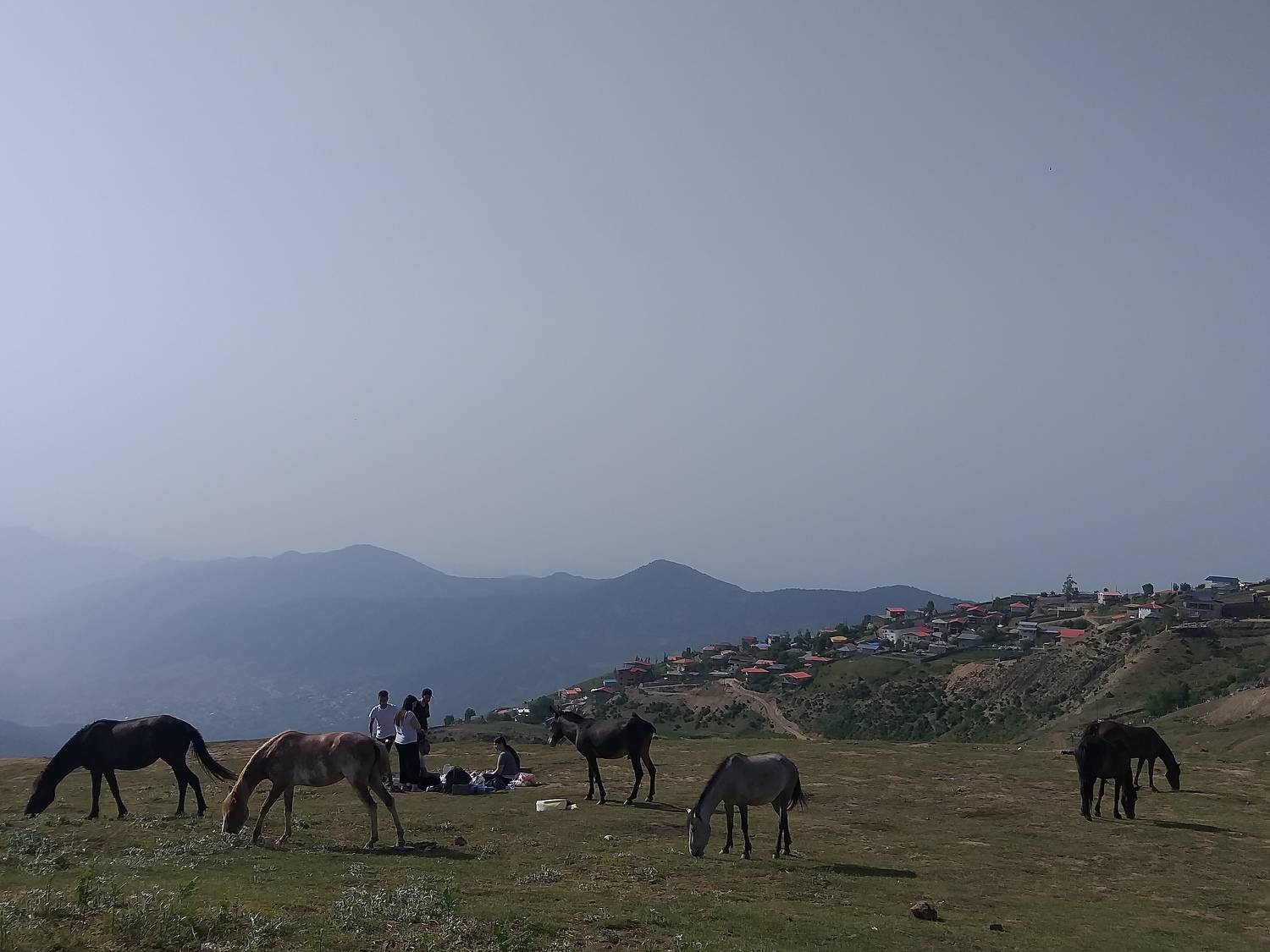 man and horse