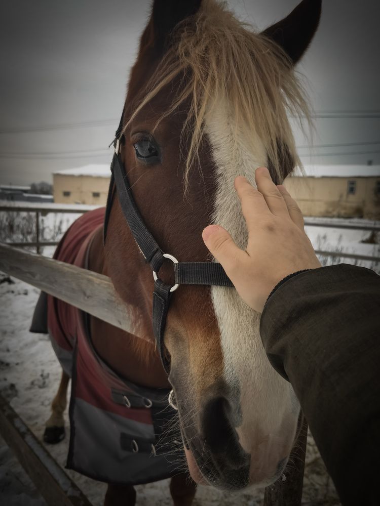 Photograph by Влад Апанасов