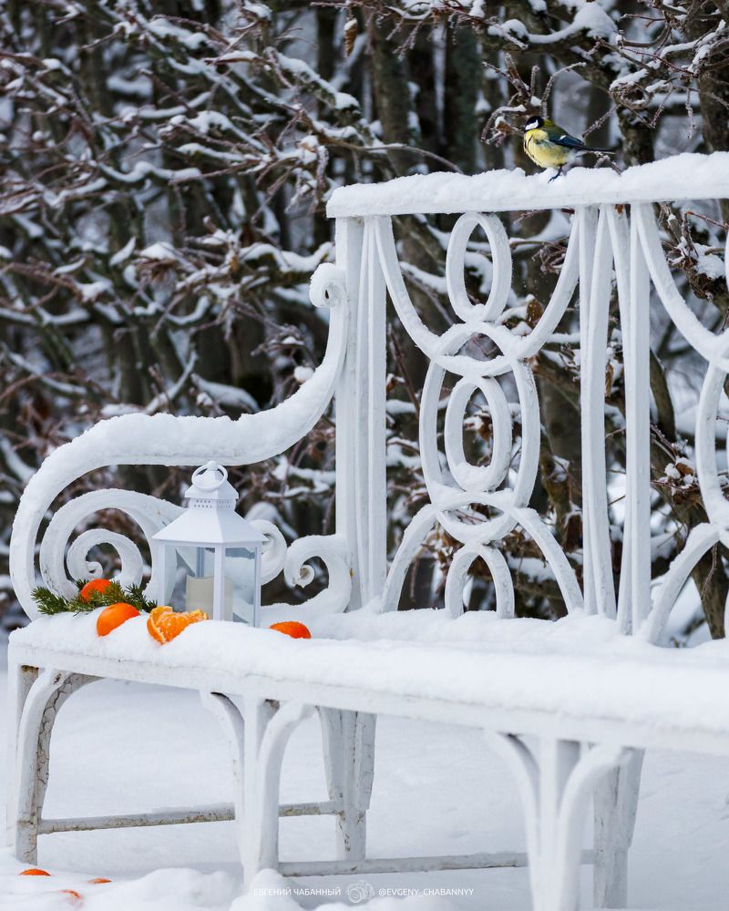 Фотография автора Евгений Чабанный