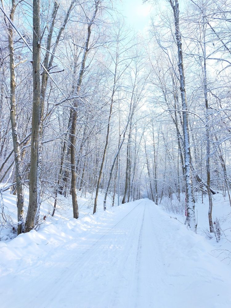 Photograph by Савиных Дарья