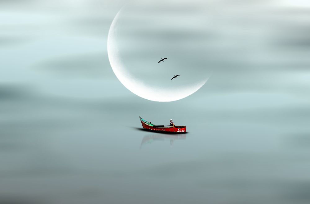 The Fisherman and The Birds