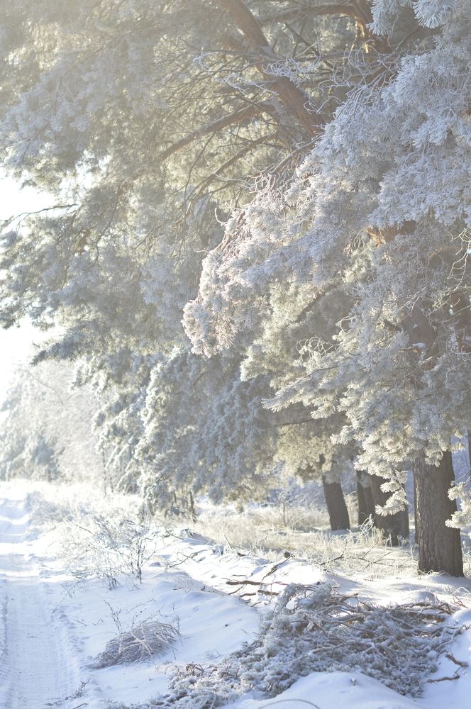 Photograph by Елена Квасова